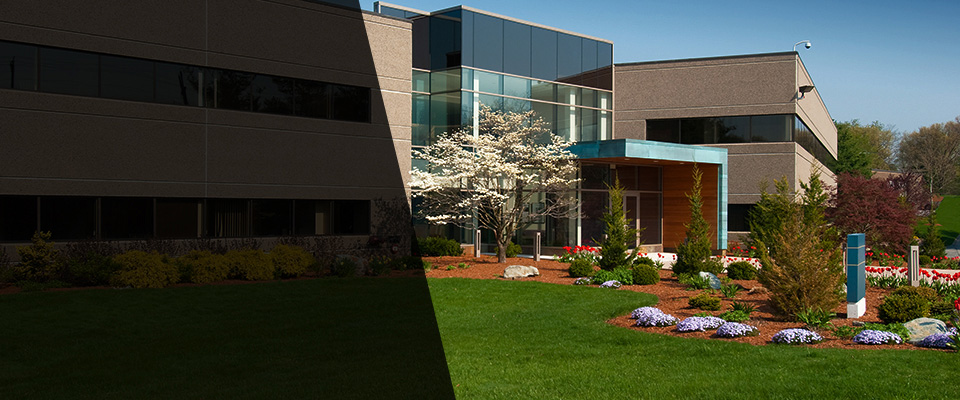 Brownsville Landscapers