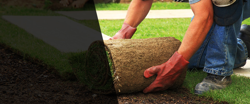 Brownsville Landscapers